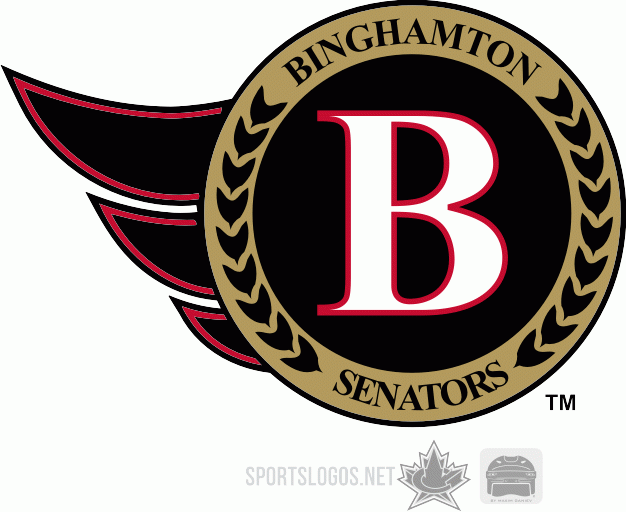 Binghamton Senators 2003 04-2006 07 Secondary Logo iron on heat transfer